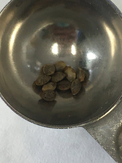 Land of Lincoln (LOL)® Sativa Seeds